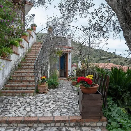 Appartamento La Finestra sulle Eolie Reitano  Esterno foto