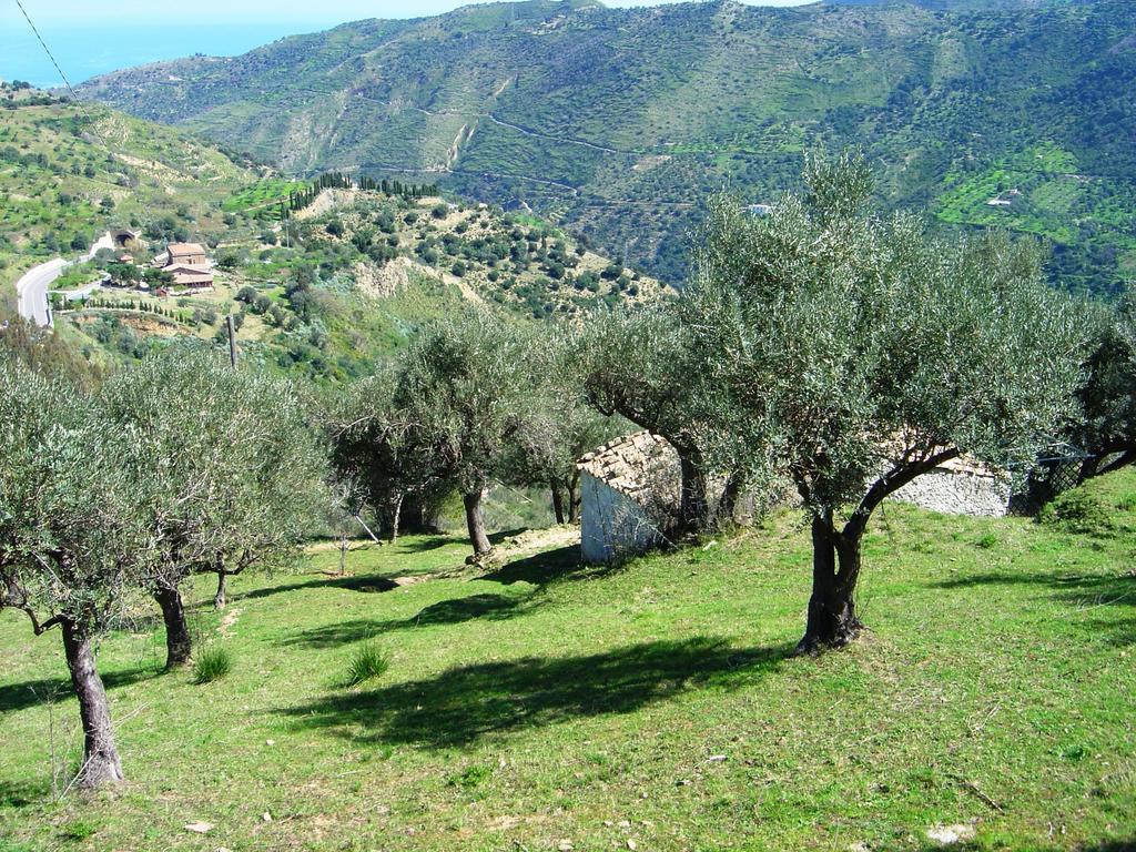 La Finestra Sulle Eolie Appartamento Reitano (Messina)